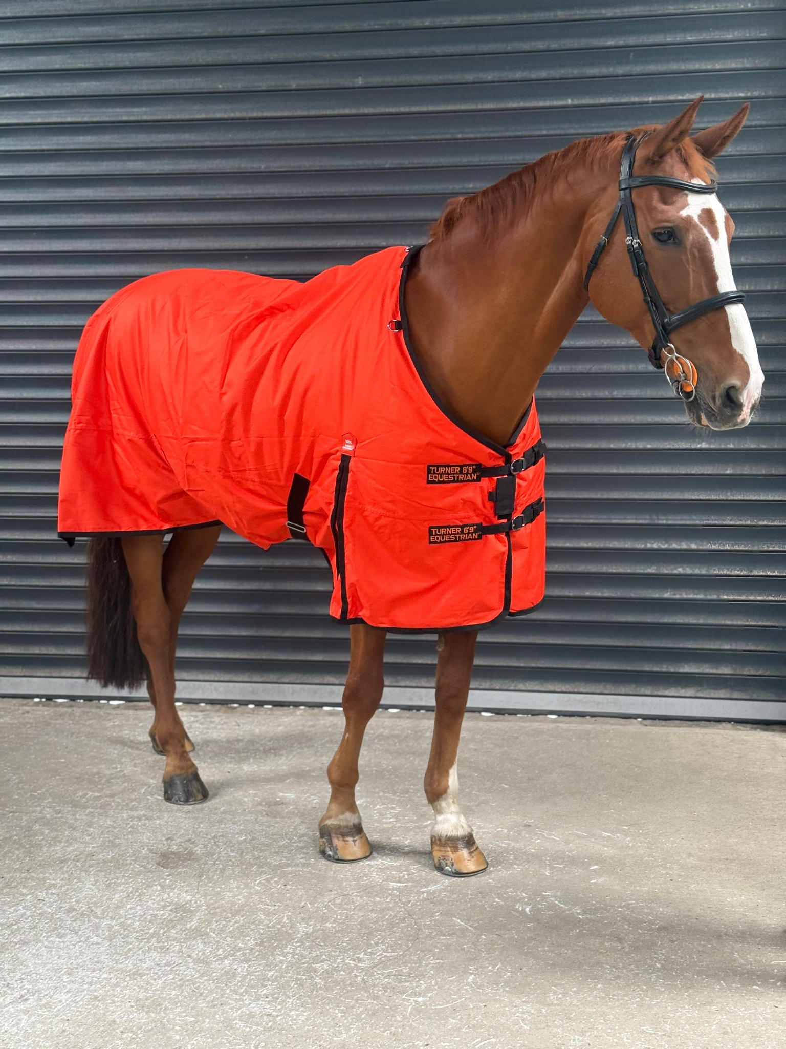 Lightweight 600D Turnout Rug 100g Fill - Highlighter Orange