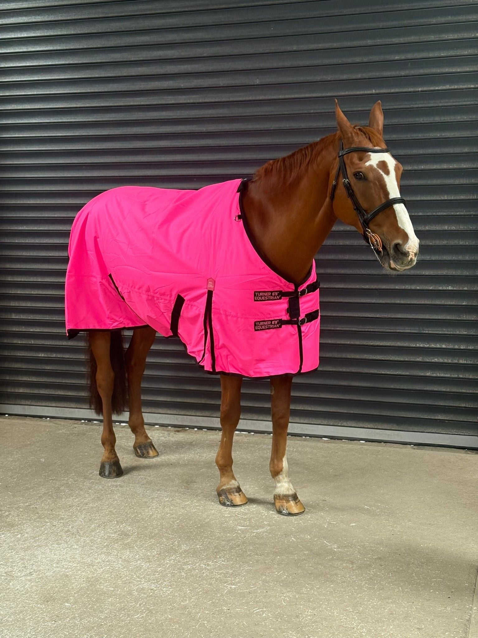 Lightweight 600D Turnout Rug 100g Fill - Highlighter Pink