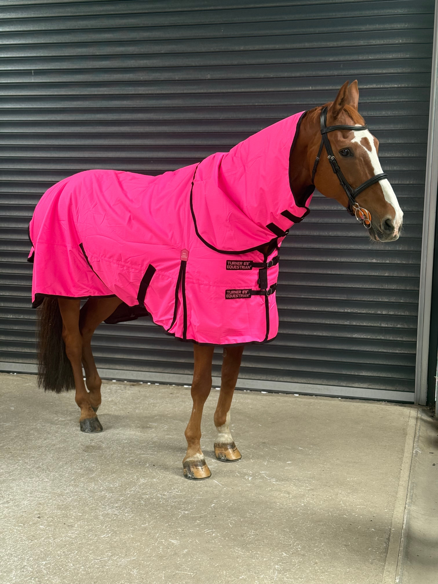 Lightweight 600D Turnout Rug 100g Fill - Highlighter Pink