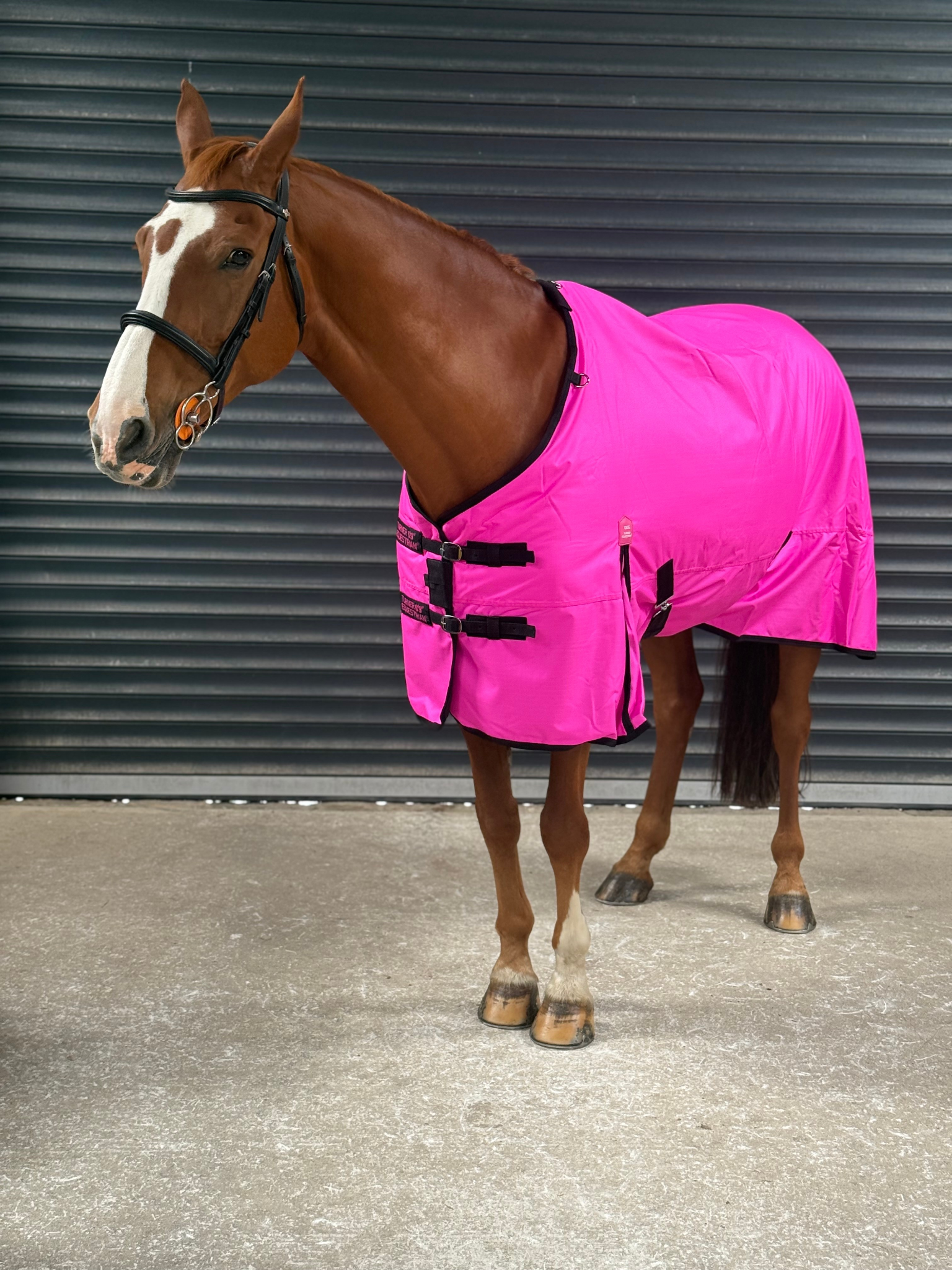 Lightweight 600D Turnout Rug 100g Fill - Highlighter Purple