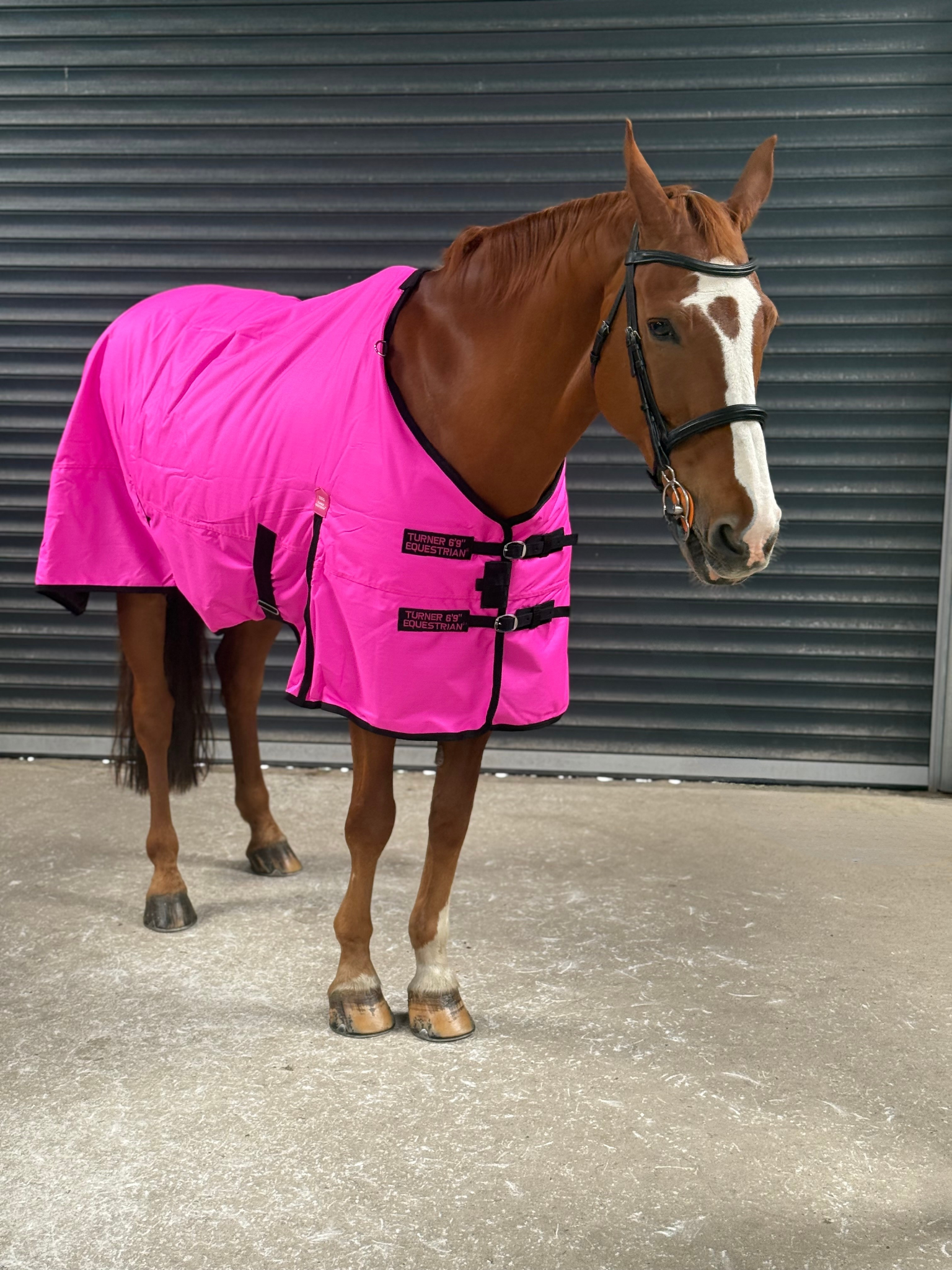 Lightweight 600D Turnout Rug 100g Fill - Highlighter Purple