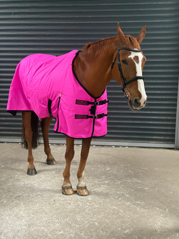 Highlighter Purple Turnout Rug