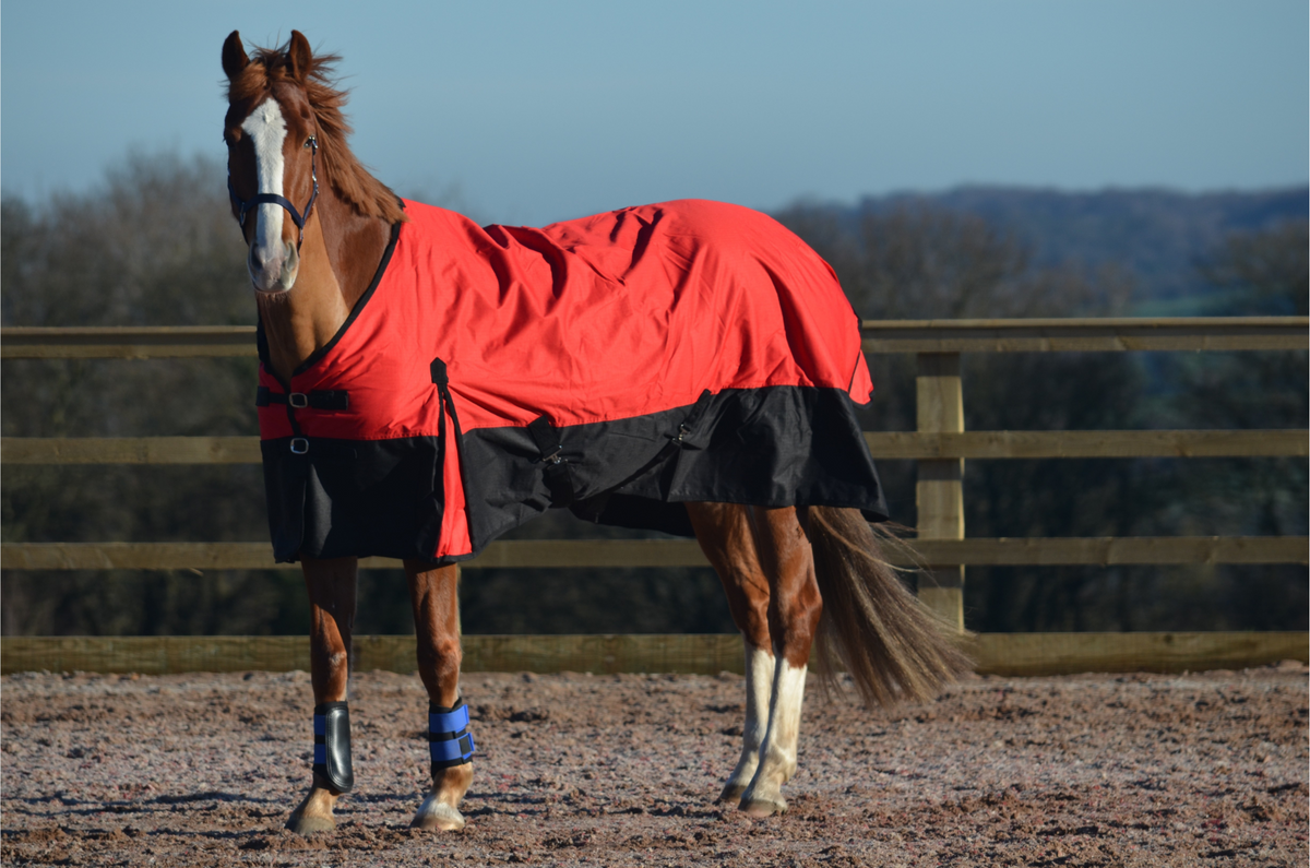 Horse Rugs for Sale | Equestrian Riding Clothes