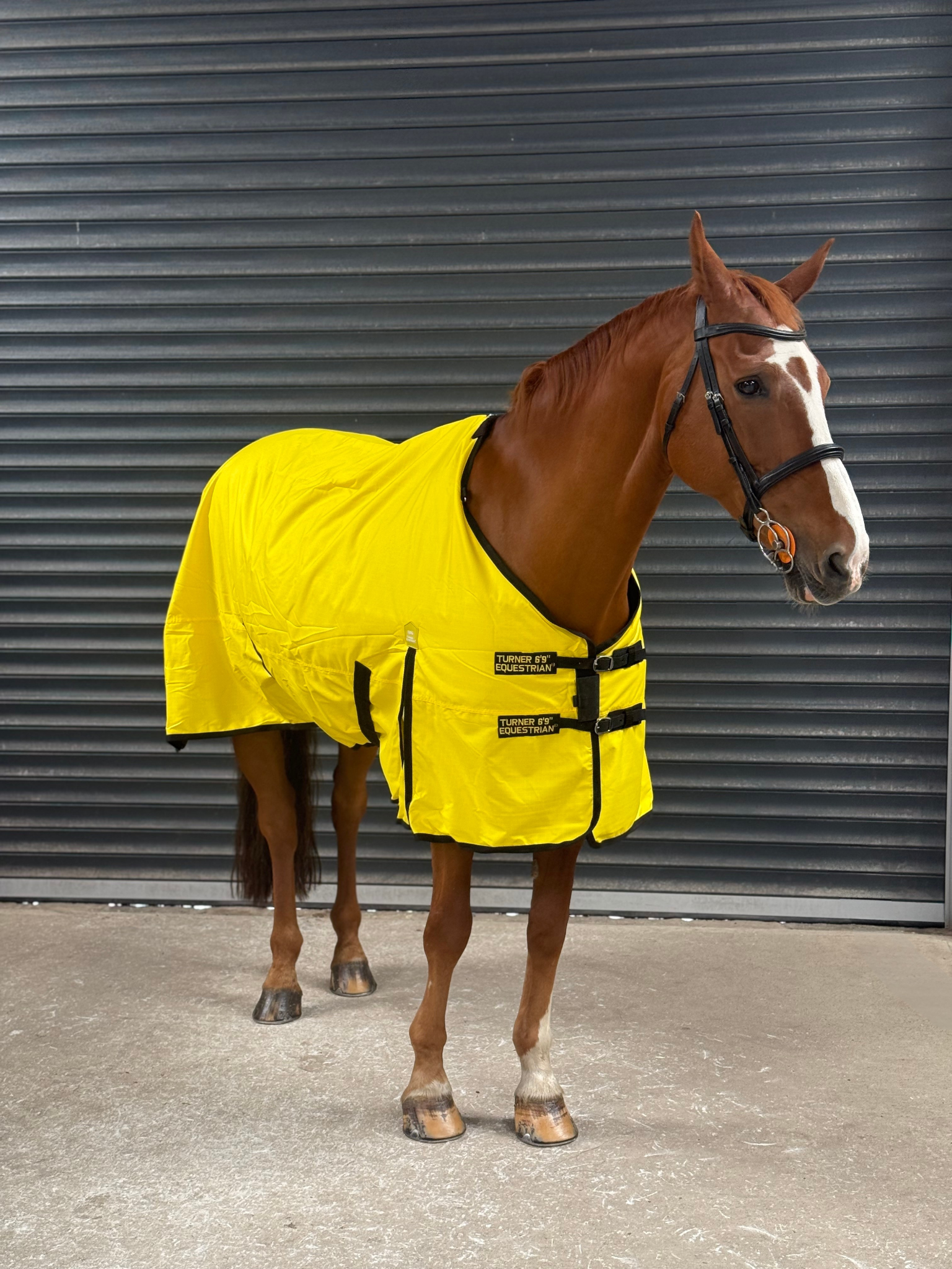 Lightweight 600D Turnout Rug 100g Fill - Highlighter Yellow