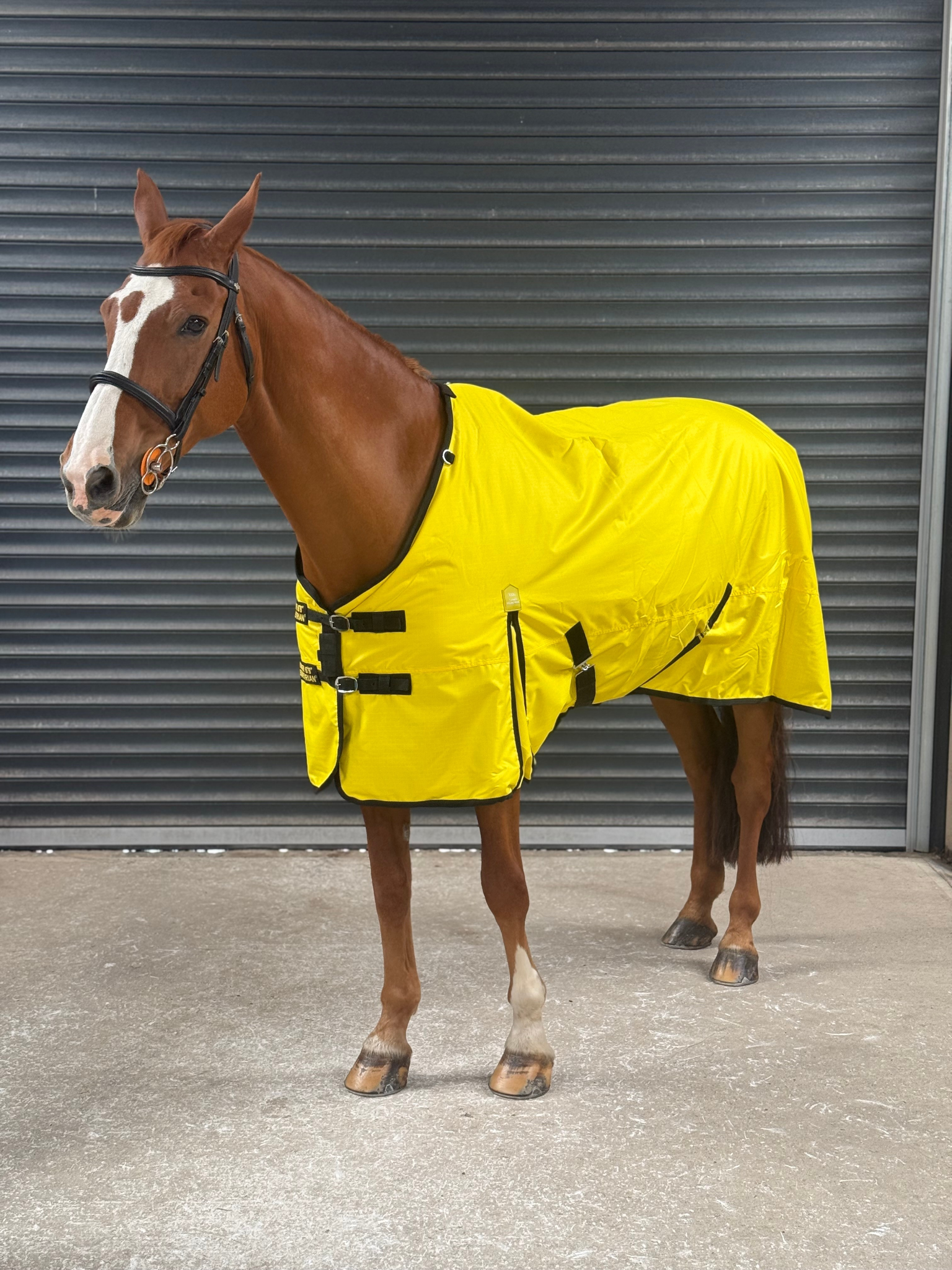 Lightweight 600D Turnout Rug 100g Fill - Highlighter Yellow
