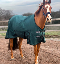Load image into Gallery viewer, Lightweight 600 Denier Turnout Rug 100g Fill Forest Green