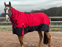 Load image into Gallery viewer, NEW 2024 Mediumweight Combo 200g Fill Waterproof Turnout Rug with Neck