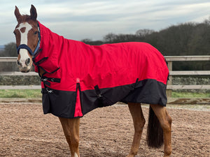 NEW 2024 Mediumweight Combo 200g Fill Waterproof Turnout Rug with Neck