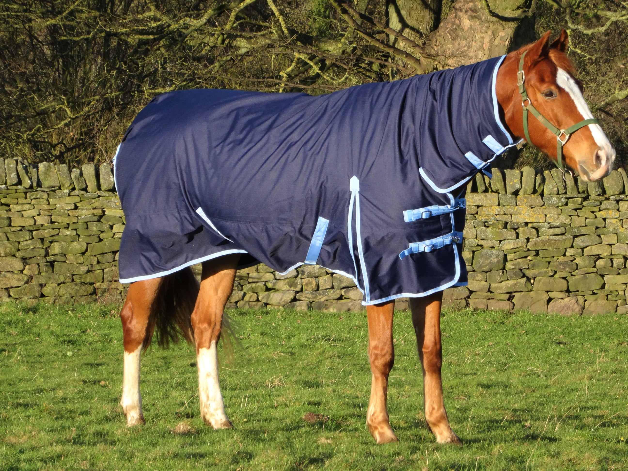 5'3 Mediumweight 600D 200g Fill Waterproof Turnout Rug with Detachable Neck - Navy Clearance