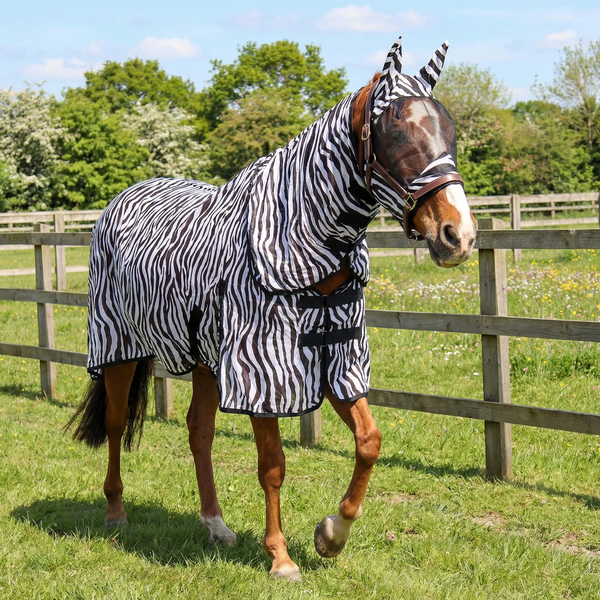 Zebra Print Fly Rug — Lightweight Full Neck Combo