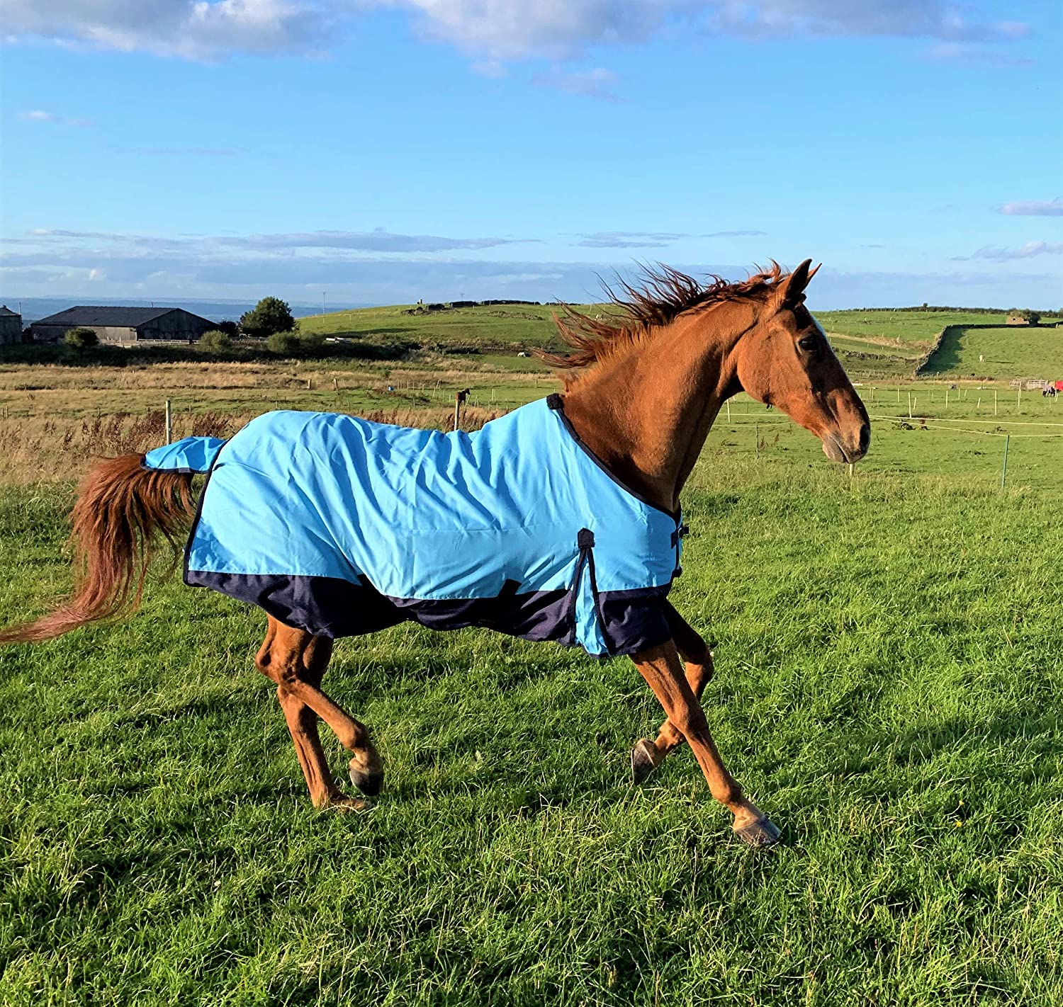 Lightweight 600 Denier Turnout Rug 100g Fill Sky Blue