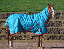 Load image into Gallery viewer, Heavyweight Combo 600d Denier Turnout Rug 350g Fill Teal
