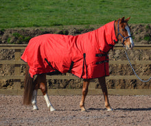 Load image into Gallery viewer, Turners Heavyweight Combo 350g Fill Waterproof Turnout Rug with Neck