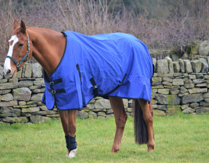 Lightweight Rainsheet 600 Denier Turnout Rug 0g Fill Royal Blue