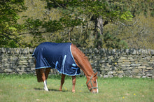 Load image into Gallery viewer, Medium-Weight 600 Denier Turnout Rug 200g Fill
