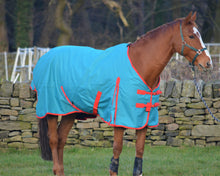 Load image into Gallery viewer, Teal Lightweight 100g Fill Turnout Rug