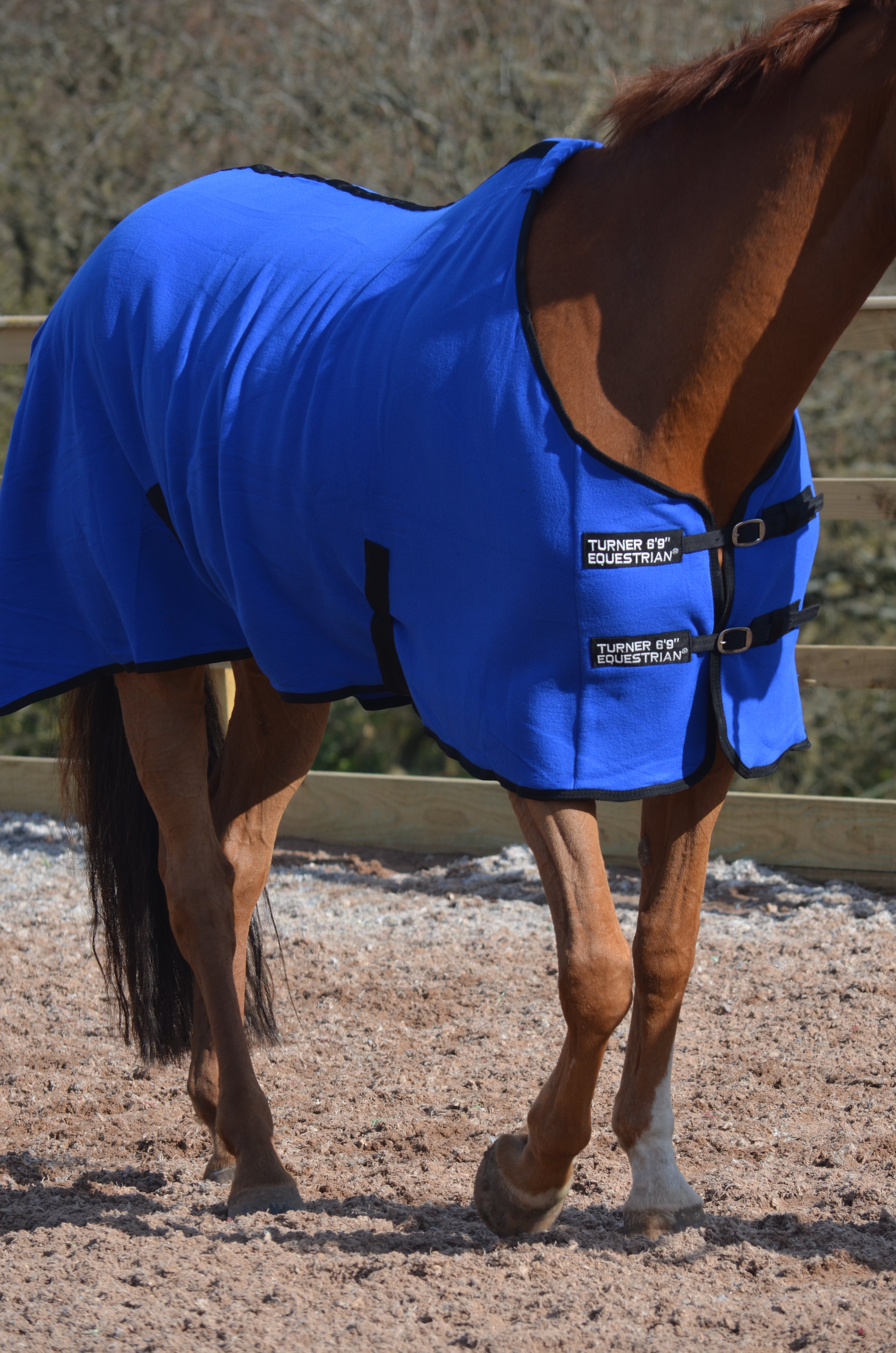 Fleece Cooler Rug Royal Blue | Horse Fleece | Turner Equestrian
