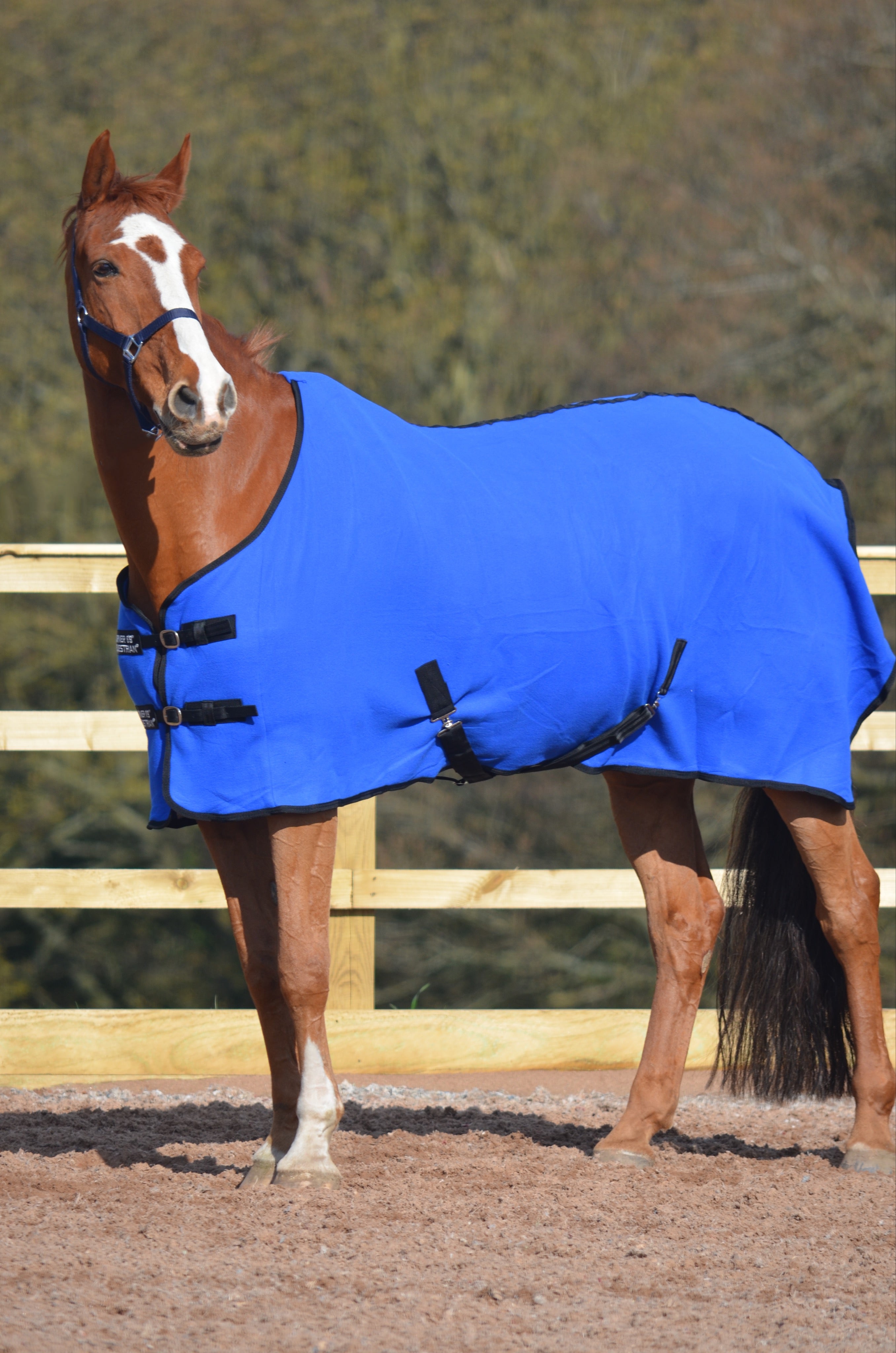 Fleece Cooler Rug Royal Blue | Horse Fleece | Turner Equestrian