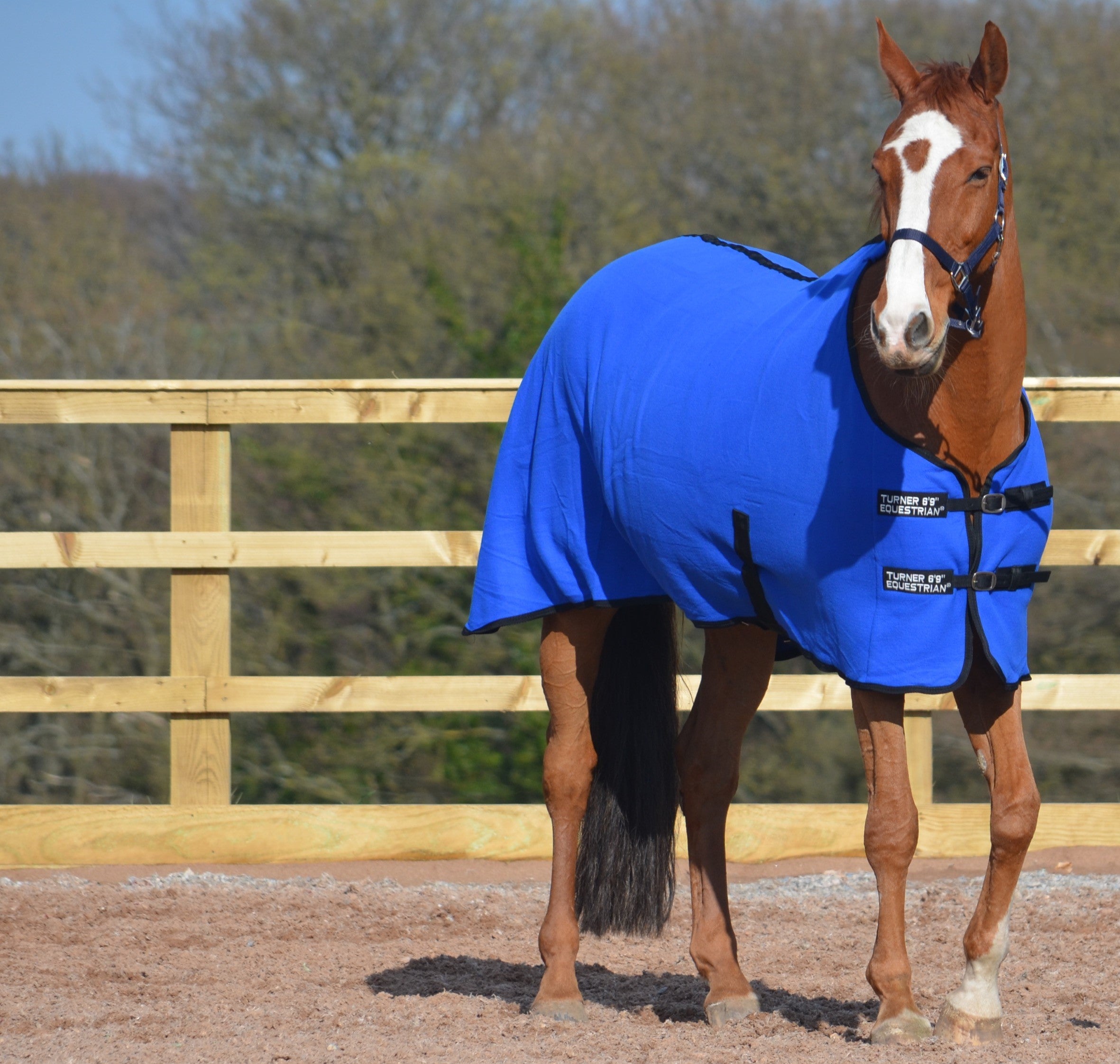 Fleece Cooler Rug Royal Blue | Horse Fleece | Turner Equestrian