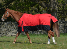 Load image into Gallery viewer, Lightweight 600 Denier Turnout Rug 100g Fill Red