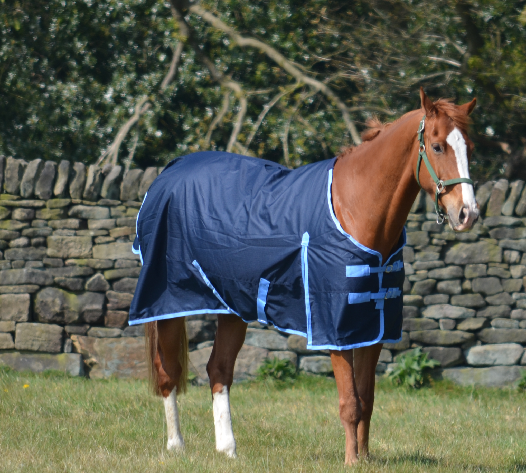 Lightweight 600 Denier Turnout Rug 100g Fill Navy