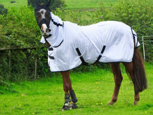 Load image into Gallery viewer, Cool White Fly Rug for Horse / Pony / Shetland - Lightweight Full Neck Combo