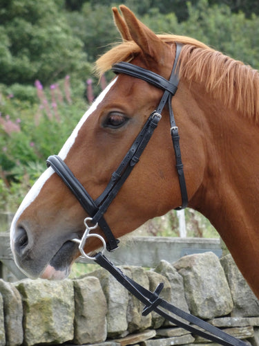Turners Cavesson Bridle