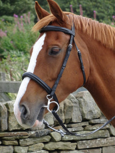 Turners Cavesson Bridle