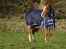 Load image into Gallery viewer, Turners Mediumweight Combo 200g Fill Waterproof Turnout Rug with Neck