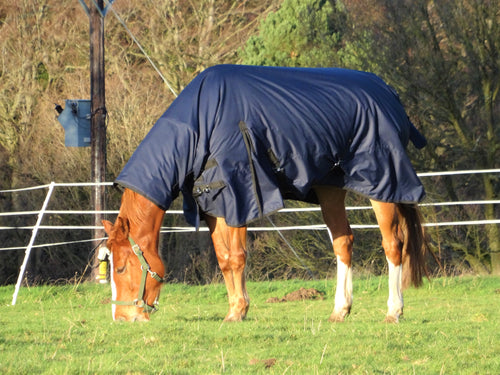Turners Heavyweight Combo 350g Fill Waterproof Turnout Rug with Neck