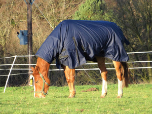 Turners Heavyweight Combo 350g Fill Waterproof Turnout Rug with Neck