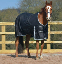 Load image into Gallery viewer, Lightweight 600d and 1200d Denier Turnout Rug 100g Fill Black