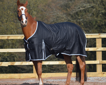 Load image into Gallery viewer, Heavyweight 600d Winter Turnout Rug 300g Fill Black